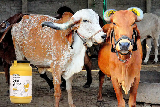 5 Reasons why A2 Cow Ghee is considered as a Superfood - 2024